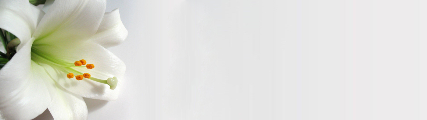 Flores para funeral en Madrid